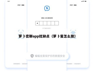 萝卜密聊app优缺点（萝卜蜜怎么做）