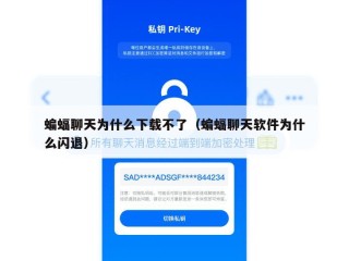 蝙蝠聊天为什么下载不了（蝙蝠聊天软件为什么闪退）