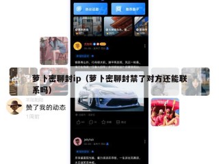 萝卜密聊封ip（萝卜密聊封禁了对方还能联系吗）