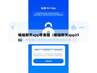 蝙蝠聊天app苹果版（蝙蝠聊天app256）
