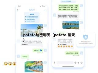 potato加密聊天（potato 聊天）