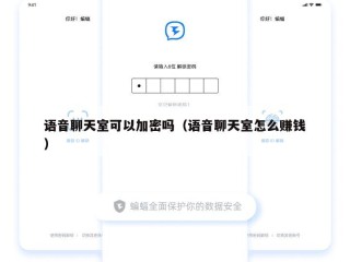 语音聊天室可以加密吗（语音聊天室怎么赚钱）