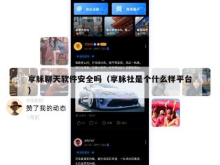 享脉聊天软件安全吗（享脉社是个什么样平台）