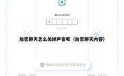加密聊天怎么关掉声音呢（加密聊天内容）