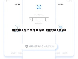 加密聊天怎么关掉声音呢（加密聊天内容）
