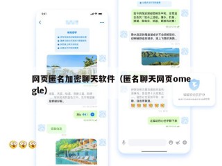 网页匿名加密聊天软件（匿名聊天网页omegle）