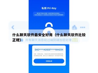 什么聊天软件最安全好用（什么聊天软件比较正规）