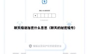 聊天暗语加密什么意思（聊天的秘密暗号）