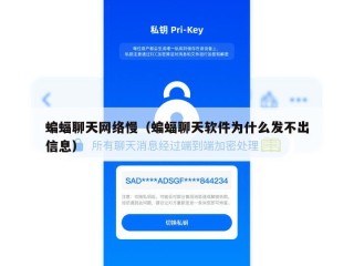 蝙蝠聊天网络慢（蝙蝠聊天软件为什么发不出信息）