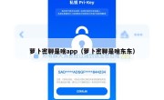萝卜密聊是啥app（萝卜密聊是啥东东）