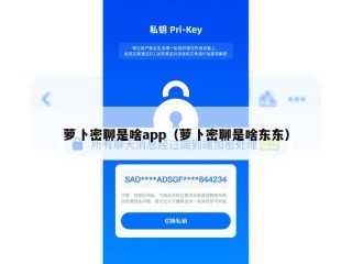 萝卜密聊是啥app（萝卜密聊是啥东东）