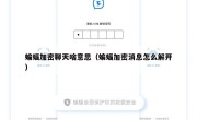 蝙蝠加密聊天啥意思（蝙蝠加密消息怎么解开）