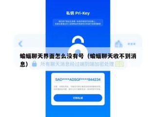 蝙蝠聊天界面怎么没有号（蝙蝠聊天收不到消息）