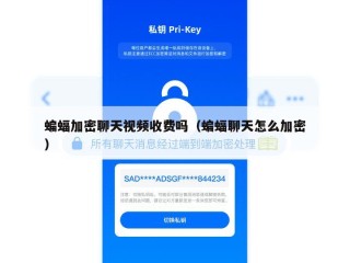 蝙蝠加密聊天视频收费吗（蝙蝠聊天怎么加密）
