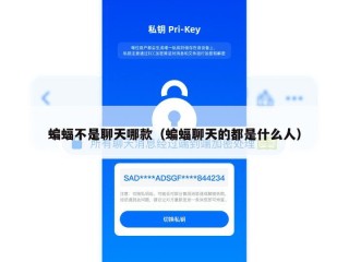 蝙蝠不是聊天哪款（蝙蝠聊天的都是什么人）