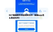 BAT蝙蝠聊天发送视频文件（蝙蝠app怎么发送文件）