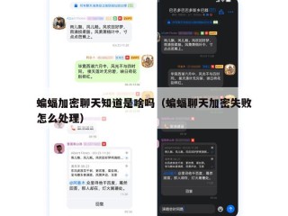 蝙蝠加密聊天知道是啥吗（蝙蝠聊天加密失败怎么处理）