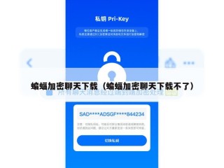蝙蝠加密聊天下载（蝙蝠加密聊天下载不了）