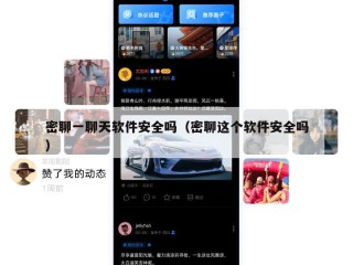 密聊一聊天软件安全吗（密聊这个软件安全吗）
