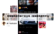 视频聊天软件哪个安全吗（视频聊天软件平台）
