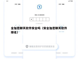 全加密聊天软件安全吗（安全加密聊天软件 排名）