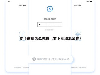 萝卜密聊怎么充值（萝卜互动怎么样）