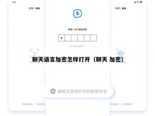 聊天语言加密怎样打开（聊天 加密）