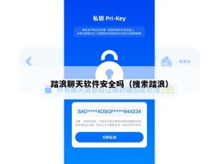 踏浪聊天软件安全吗（搜索踏浪）