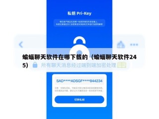 蝙蝠聊天软件在哪下载的（蝙蝠聊天软件245）