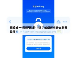 跟蝙蝠一样聊天软件（除了蝙蝠还有什么聊天软件）