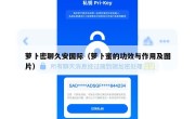 萝卜密聊久安国际（萝卜蜜的功效与作用及图片）