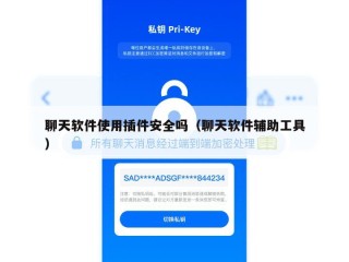聊天软件使用插件安全吗（聊天软件辅助工具）