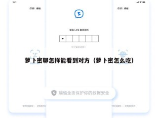 萝卜密聊怎样能看到对方（萝卜密怎么吃）