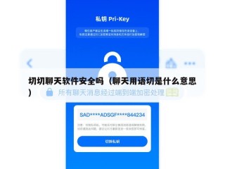 切切聊天软件安全吗（聊天用语切是什么意思）