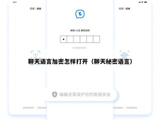 聊天语言加密怎样打开（聊天秘密语言）