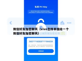 微信好友加密聊天（vivo怎样单独给一个微信好友加密聊天）