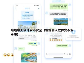 蝙蝠聊天软件安不安全（蝙蝠聊天软件安不安全呀）