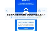 蝙蝠聊天发送视频文件（蝙蝠聊天怎么发文件）