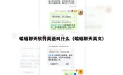 蝙蝠聊天软件英语叫什么（蝙蝠聊天英文）