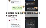 萝卜密聊是个什么软件（萝卜密聊是什么软件有存在风险吗）