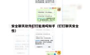 安全聊天软件钉钉能用吗知乎（钉钉聊天安全性）