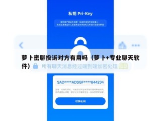 萝卜密聊投诉对方有用吗（萝卜+专业聊天软件）