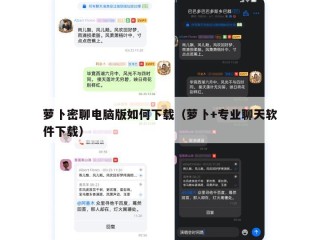 萝卜密聊电脑版如何下载（萝卜+专业聊天软件下载）