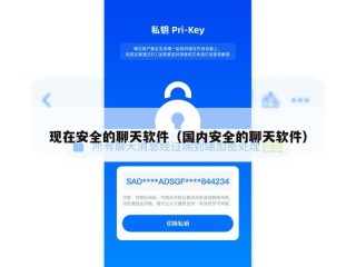 现在安全的聊天软件（国内安全的聊天软件）