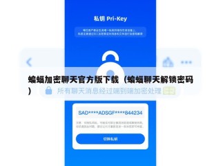 蝙蝠加密聊天官方版下载（蝙蝠聊天解锁密码）