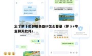 忘了萝卜密聊服务器IP怎么登录（萝卜+专业聊天软件）