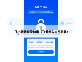 飞书聊天记录加密（飞书怎么加密聊天）