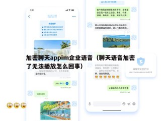 加密聊天appim企业语音（聊天语音加密了无法播放怎么回事）