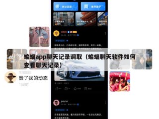 蝙蝠app聊天记录调取（蝙蝠聊天软件如何查看聊天记录）