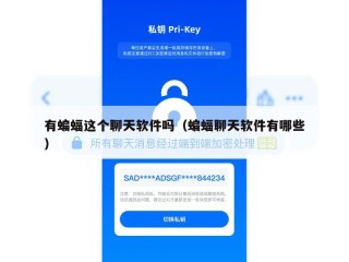 有蝙蝠这个聊天软件吗（蝙蝠聊天软件有哪些）